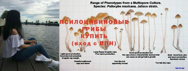 2c-b Беломорск